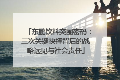 东鹏饮料突围密码：三次关键抉择背后的战略远见与社会责任