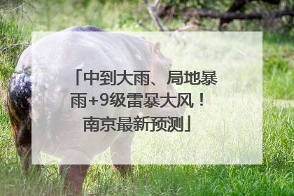 中到大雨、局地暴雨+9级雷暴大风！南京最新预测
