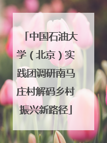 中国石油大学（北京）实践团调研南马庄村解码乡村振兴新路径