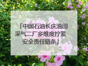 中国石油长庆油田采气二厂多维度拧紧安全责任链条