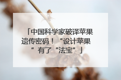 中国科学家破译苹果遗传密码！“设计苹果”有了“法宝”