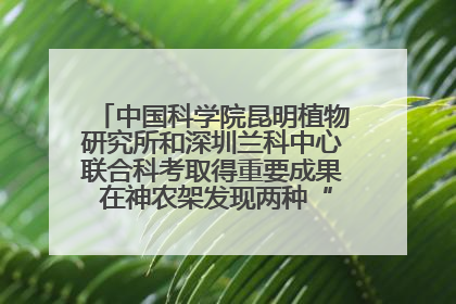 中国科学院昆明植物研究所和深圳兰科中心联合科考取得重要成果 在神农架发现两种“国保”级兰花