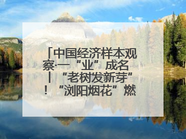 中国经济样本观察·一“业”成名丨“老树发新芽”！“浏阳烟花”燃亮世界