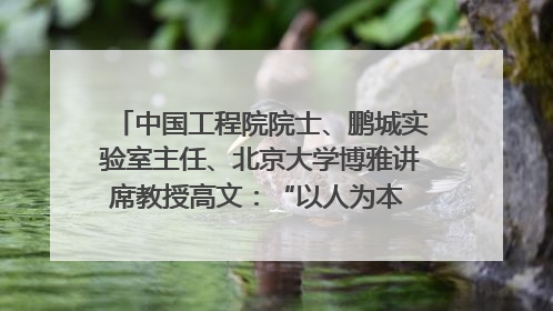 中国工程院院士、鹏城实验室主任、北京大学博雅讲席教授高文：“以人为本 智能向善” 推动文化与科技相生相促｜聚焦2025文化强国建设高峰论坛