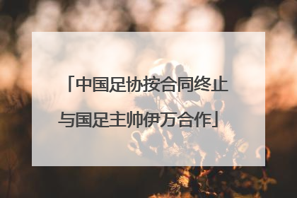 中国足协按合同终止与国足主帅伊万合作