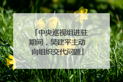 中央巡视组进驻期间，吴建平主动向组织交代问题