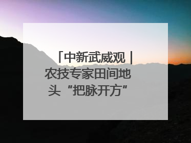 中新武威观｜农技专家田间地头“把脉开方”送“及时雨”