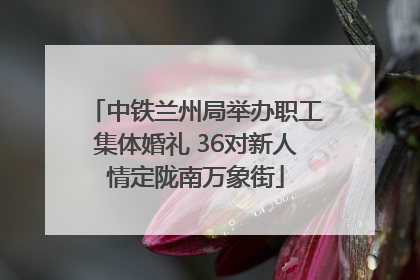 中铁兰州局举办职工集体婚礼 36对新人情定陇南万象街