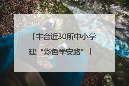 丰台近30所中小学建“彩色学安路”