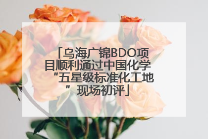 乌海广锦BDO项目顺利通过中国化学“五星级标准化工地”现场初评