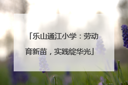 乐山通江小学：劳动育新苗，实践绽华光