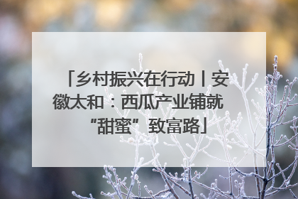 乡村振兴在行动丨安徽太和：西瓜产业铺就“甜蜜”致富路