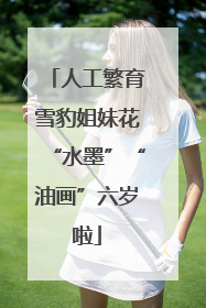 人工繁育雪豹姐妹花“水墨”“油画”六岁啦