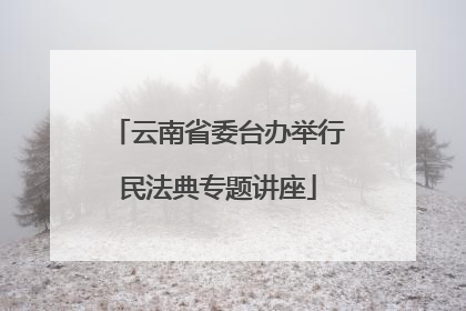 云南省委台办举行民法典专题讲座
