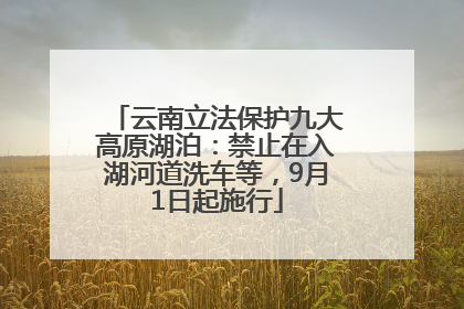 云南立法保护九大高原湖泊：禁止在入湖河道洗车等，9月1日起施行