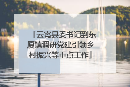 云霄县委书记到东厦镇调研党建引领乡村振兴等重点工作