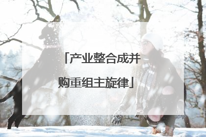 产业整合成并购重组主旋律