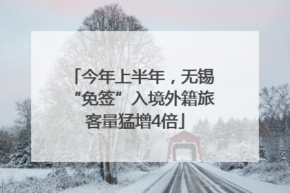 今年上半年，无锡“免签”入境外籍旅客量猛增4倍