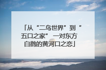 从“二鸟世界”到“五口之家” 一对东方白鹳的黄河口之恋