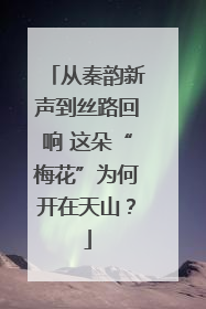 从秦韵新声到丝路回响 这朵“梅花”为何开在天山？