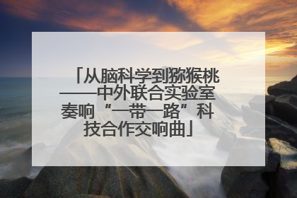 从脑科学到猕猴桃——中外联合实验室奏响“一带一路”科技合作交响曲
