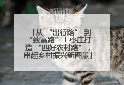 从 “出行路” 到 “致富路”！枣庄打造 “四好农村路”，串起乡村振兴新图景