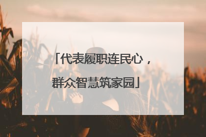 代表履职连民心，群众智慧筑家园