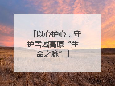 以心护心，守护雪域高原“生命之脉”
