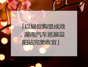 以展促购显成效，湖南汽车巡展益阳站完美收官