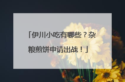 伊川小吃有哪些？杂粮煎饼申请出战！