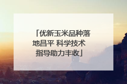 优新玉米品种落地昌平 科学技术指导助力丰收