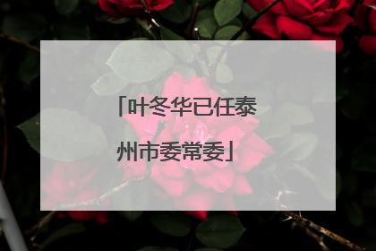 叶冬华已任泰州市委常委