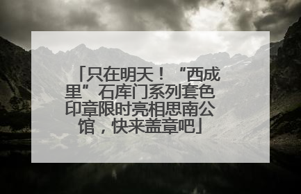 只在明天！“西成里”石库门系列套色印章限时亮相思南公馆，快来盖章吧