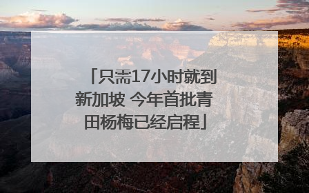 只需17小时就到新加坡 今年首批青田杨梅已经启程