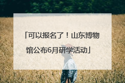 可以报名了！山东博物馆公布6月研学活动