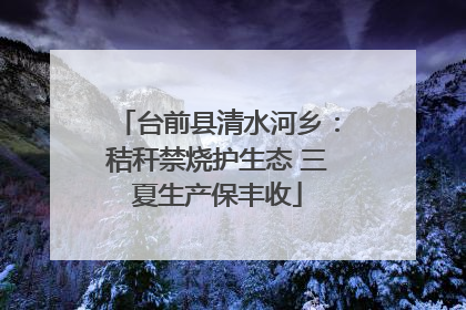 台前县清水河乡：秸秆禁烧护生态 三夏生产保丰收