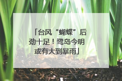 台风“蝴蝶”后劲十足！鹭岛今明或有大到暴雨