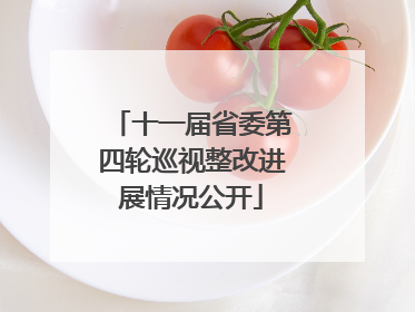 十一届省委第四轮巡视整改进展情况公开