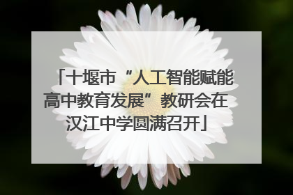 十堰市“人工智能赋能高中教育发展”教研会在汉江中学圆满召开