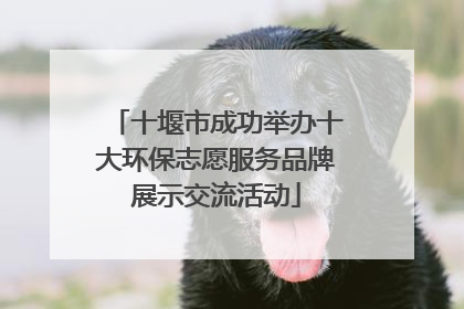 十堰市成功举办十大环保志愿服务品牌展示交流活动