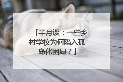 半月谈：一些乡村学校为何陷入孤岛化困局？