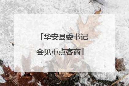 华安县委书记会见重点客商