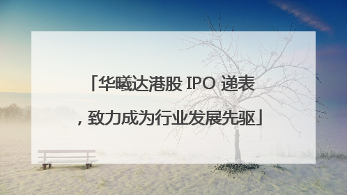 华曦达港股 IPO 递表，致力成为行业发展先驱