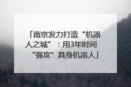 南京发力打造“机器人之城”：用3年时间“强攻”具身机器人
