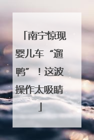 南宁惊现婴儿车“遛鸭”！这波操作太吸睛