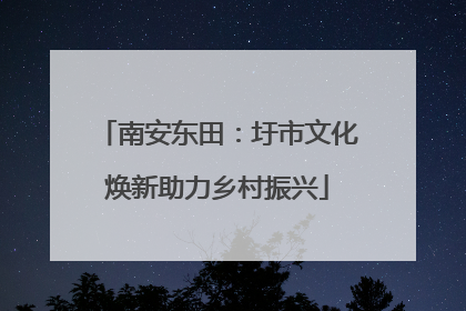 南安东田：圩市文化焕新助力乡村振兴