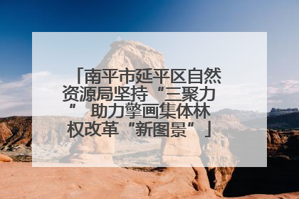 南平市延平区自然资源局坚持“三聚力” 助力擎画集体林权改革“新图景”