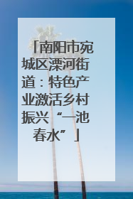 南阳市宛城区溧河街道：特色产业激活乡村振兴“一池春水”