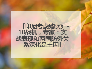 印尼考虑购买歼-10战机，专家：实战表现和两国防务关系深化是主因