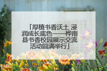 厚植书香沃土 浸润成长底色——桦南县书香校园展示交流活动圆满举行